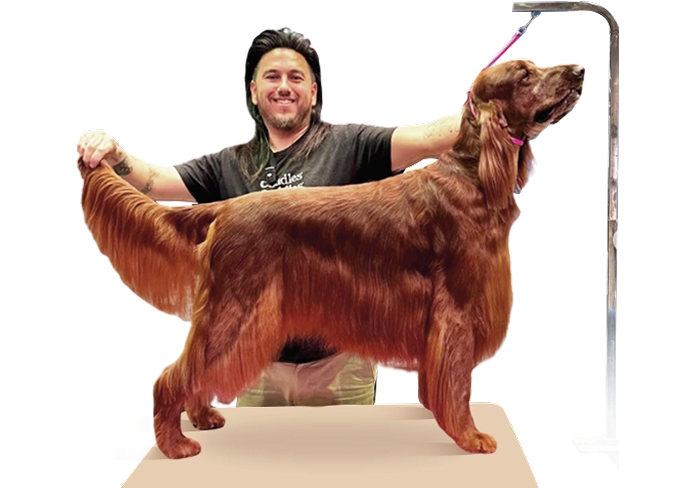 Dog
