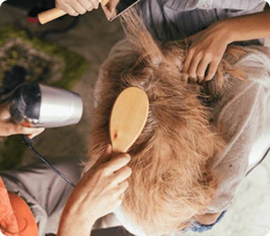 Grooming trends