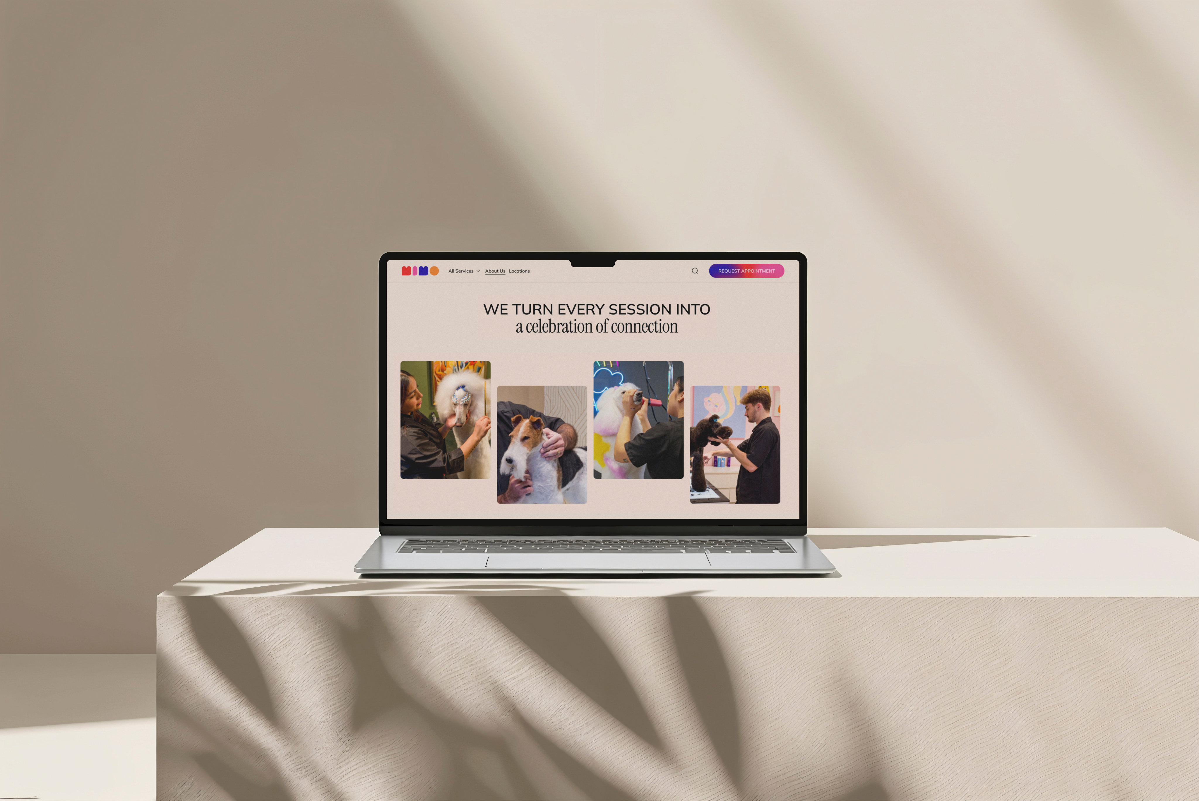 Cuddles Studio website displayed on a laptop