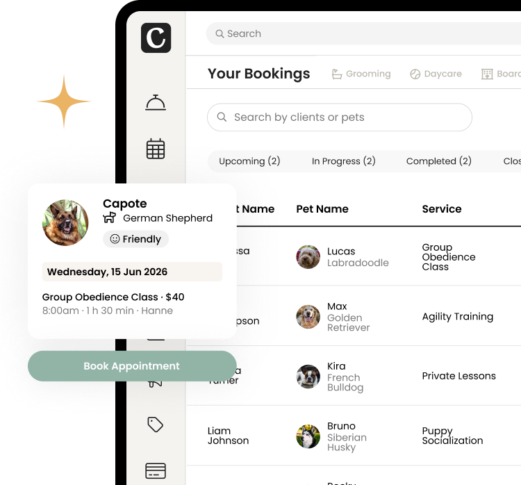 Cuddles From private sessions to group classes, Cuddles manages your bookings, client communication, progress reports, and payments — so you can stay focused on the dogs.