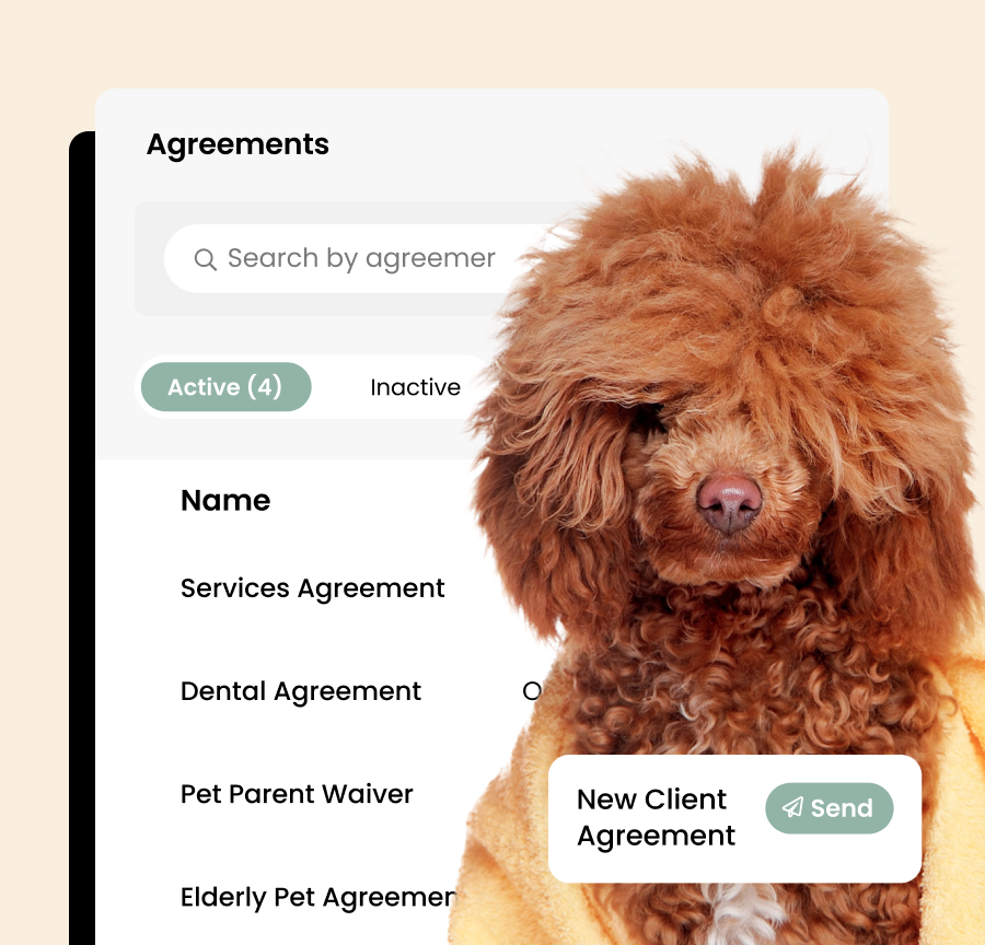 Poodle beside a pet business agreements dashboard with active client agreements.