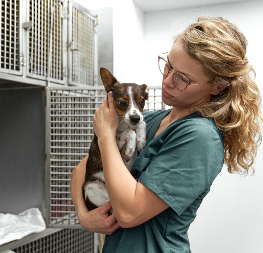 Pet care professional gently holding a small dog beside kennels at a boarding facility.